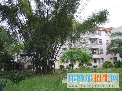 武夷山職業(yè)學(xué)院校園一角5797