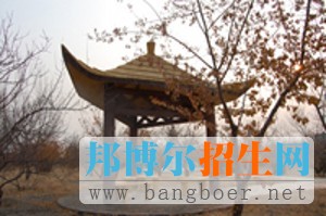 白城醫(yī)學(xué)高等?？茖W(xué)校校園一角5121
