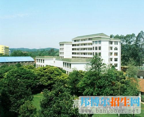柳州師范高等?？茖W(xué)校校園一角486
