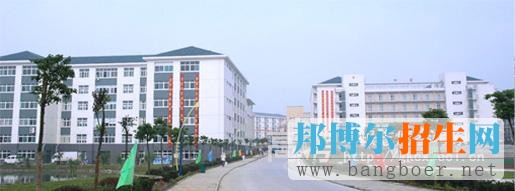民辦合肥財經(jīng)職業(yè)學(xué)院校園一角5233