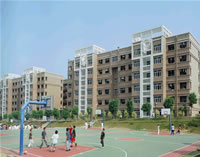 廣東工業(yè)大學華立學院校園一角12594