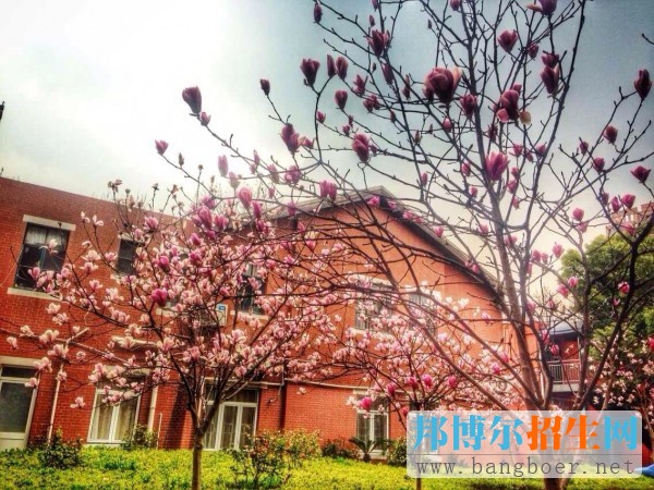 上海理工大學(xué)中英國際學(xué)院校園風(fēng)景1368