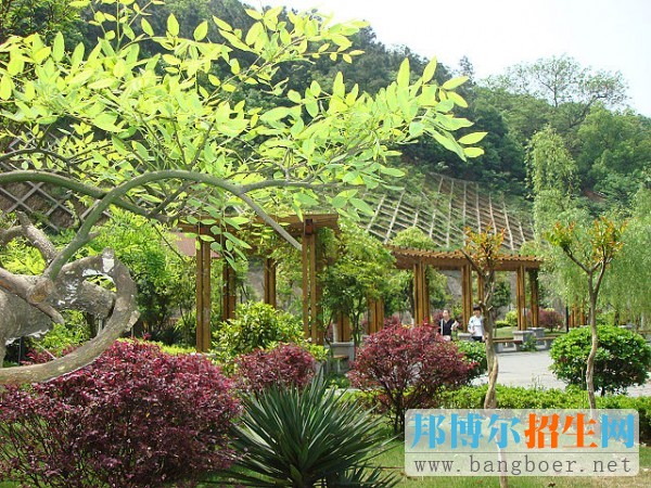 湖南商學院校園一角11954