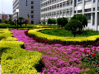 陜西服裝藝術職業(yè)學院校園一角4708
