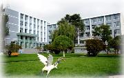 青海大學昆侖學院致明樓5529