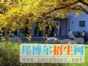 中國農(nóng)業(yè)大學(xué)