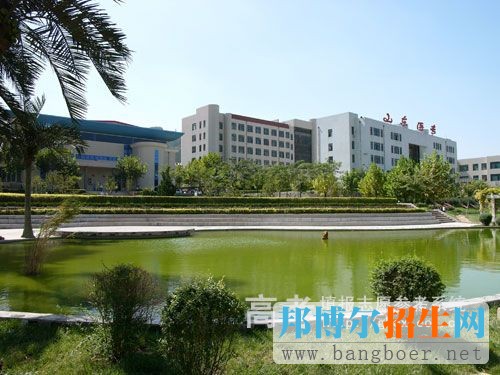 山東醫(yī)學(xué)高等?？茖W(xué)校校園一角7595