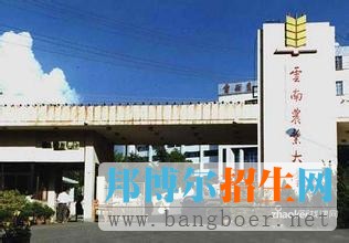 云南農(nóng)業(yè)大學(xué)