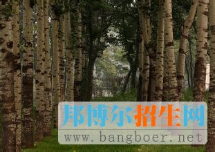 南開(kāi)大學(xué)