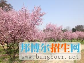 武漢大學(xué)