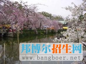 武漢大學