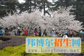 武漢大學(xué)