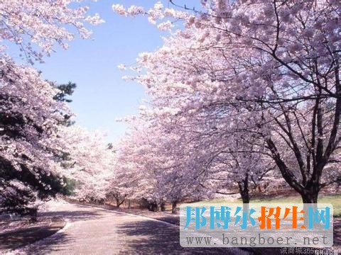 武漢大學
