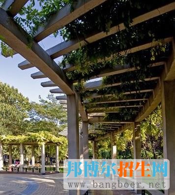 石家莊經(jīng)濟學院