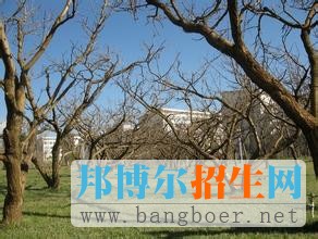 昆明理工大學