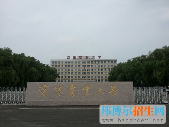 沈陽農(nóng)業(yè)