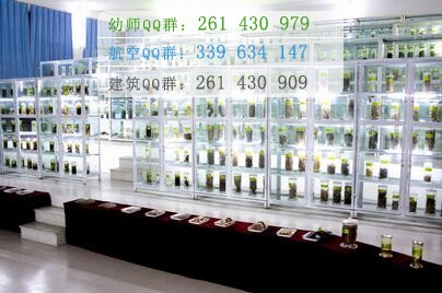 四川中醫(yī)藥高等?？茖W(xué)校