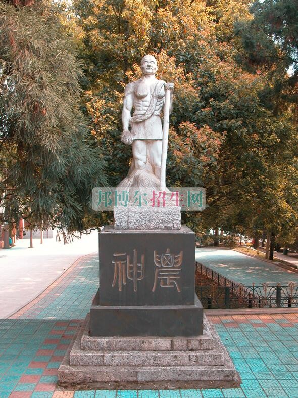 安順職業(yè)技術(shù)學院網(wǎng)站網(wǎng)址