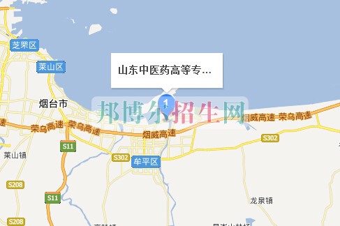 山東中醫(yī)藥高等?？茖W(xué)校