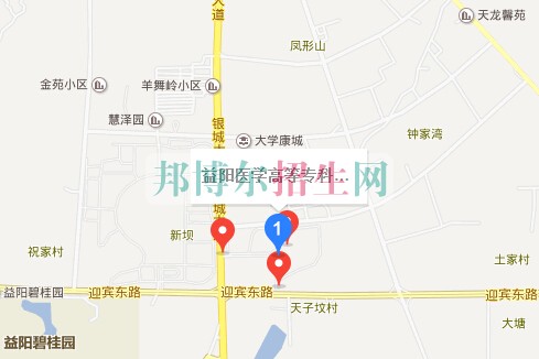 益陽醫(yī)學高等?？茖W校