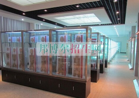 益陽醫(yī)學(xué)高等?？茖W(xué)校