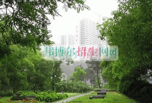 計(jì)算機(jī)信息管理怎么樣報名