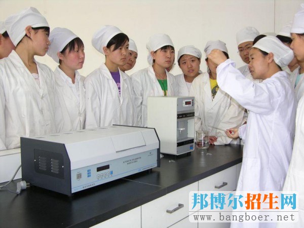 最適合去外企的專業(yè)盤點(diǎn)