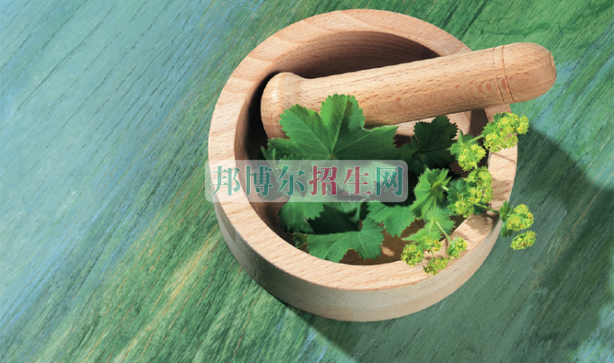 成都哪些大專有中醫(yī)學