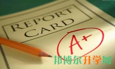 高考志愿輔助填報(bào)