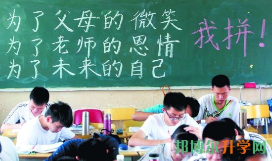 高考志愿在哪填報