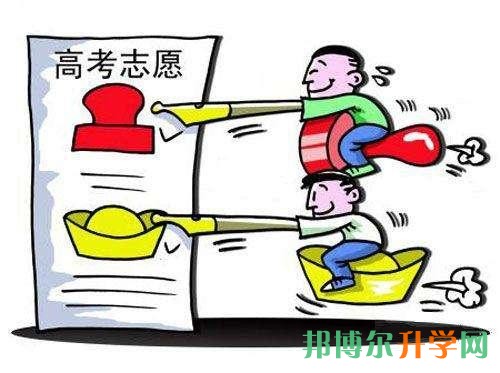 高考志愿怎么報