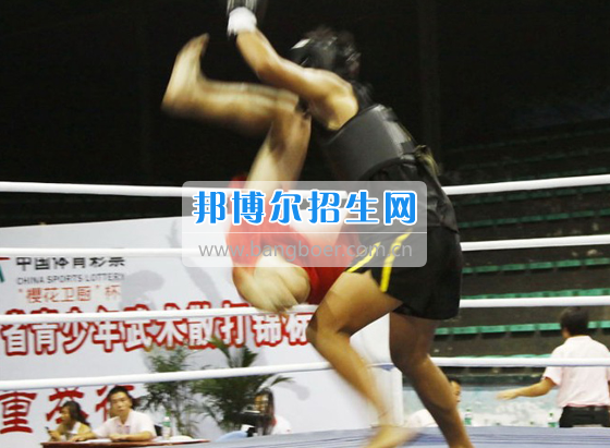 廣安市康泉文武學校武術(shù)家李康泉談武術(shù)與傳統(tǒng)文化