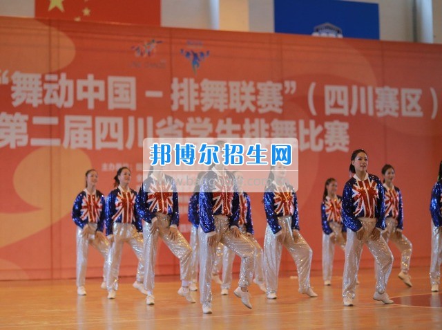 成都汽車職校代表隊(duì)獲全省排舞比賽一等獎(jiǎng)