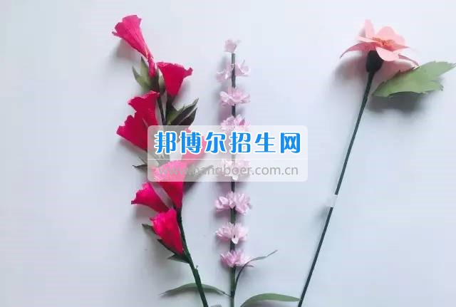 學(xué)前起航--記憶校區(qū)學(xué)前教育專(zhuān)業(yè)發(fā)展足跡