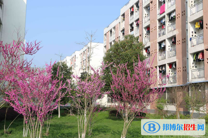 六安衛(wèi)生學(xué)校2018年報(bào)名條件、招生要求