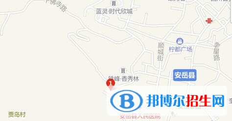 安岳縣遠(yuǎn)大科技職業(yè)學(xué)校2022年地址在哪里