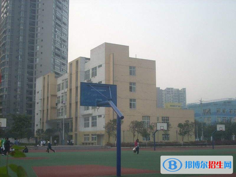成都青蘇職業(yè)中專學(xué)校有哪些專業(yè)
