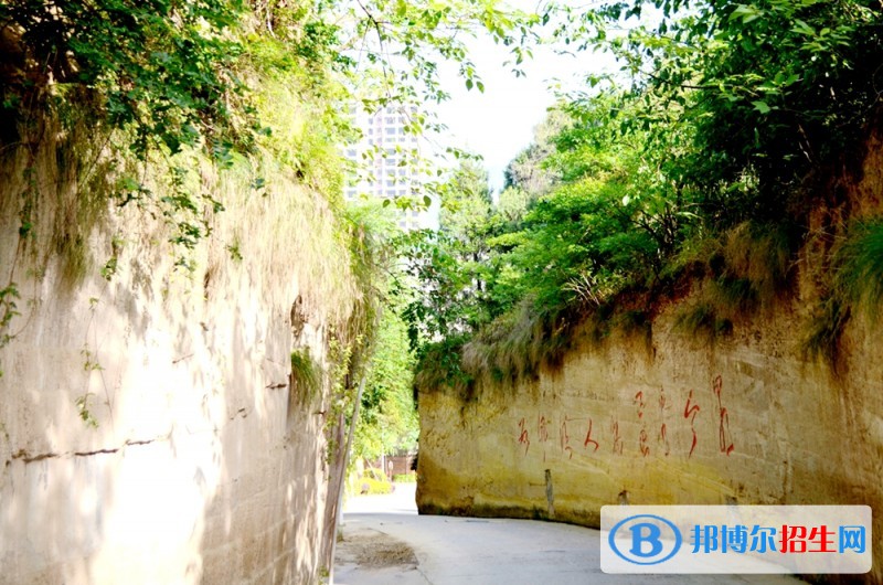 鹽亭縣職業(yè)技術(shù)學(xué)校2018年報(bào)名條件、招生對象