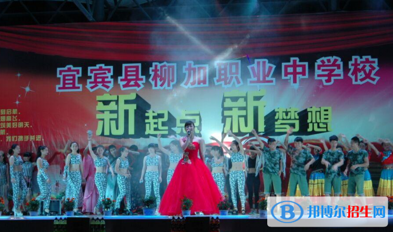宜賓縣柳加職業(yè)中學(xué)