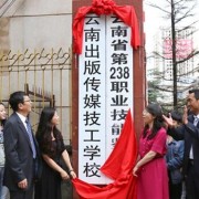 云南出版?zhèn)髅郊脊W校