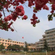 云南省園藝場(chǎng)學(xué)校