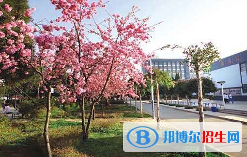 北京外事服務(wù)職業(yè)高級(jí)中學(xué)報(bào)名條件、招生對(duì)象