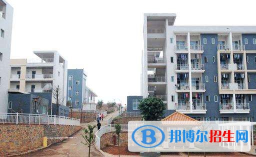 黔西南民族職業(yè)技術(shù)學(xué)院單招報名條件