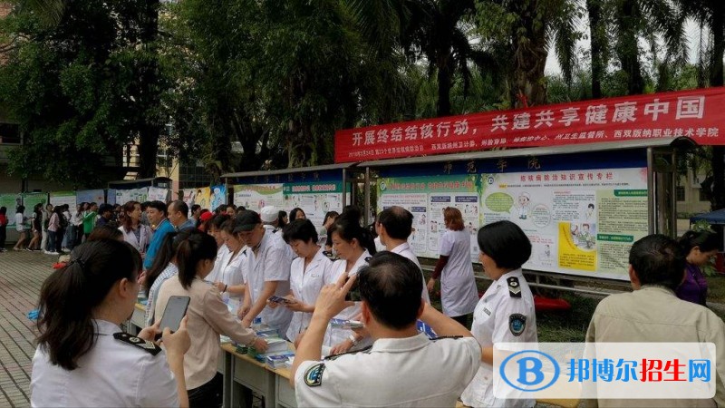 西雙版納職業(yè)技術(shù)學(xué)院2019年單招錄取分?jǐn)?shù)線
