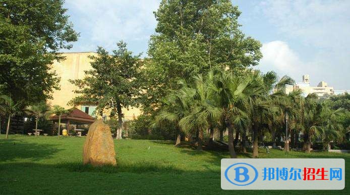 長江師范學(xué)院單招報(bào)名條件