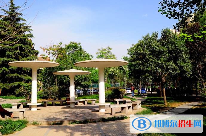 西北大學軟件職業(yè)技術學院單招報名條件