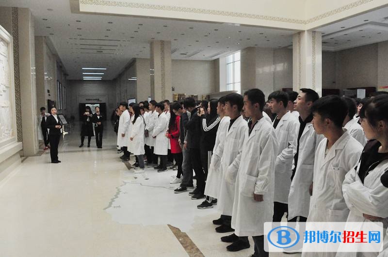 臨夏現(xiàn)代職業(yè)學院2019年單招錄取分數(shù)線