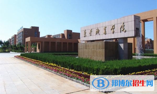 東營職業(yè)學院單招報名時間