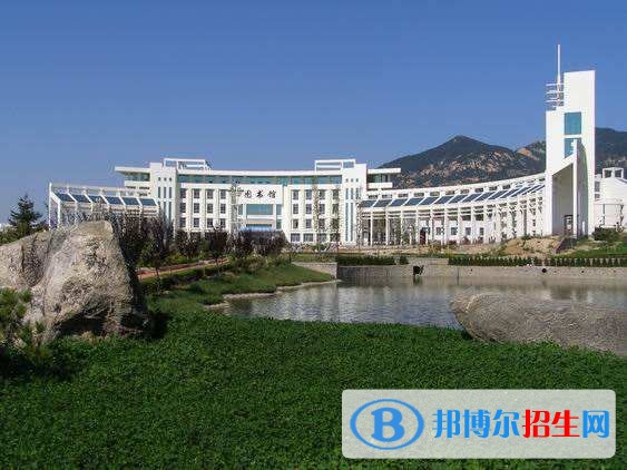 泰山職業(yè)技術(shù)學(xué)院單招報(bào)名條件