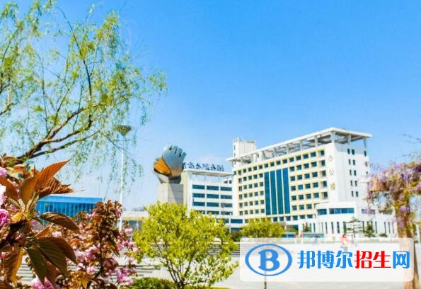 煙臺汽車工程職業(yè)學院單招報名條件